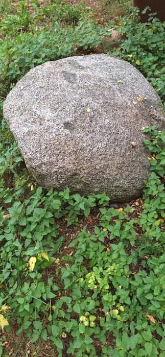 Kamien ozdobny glaz do ogrodu duzy