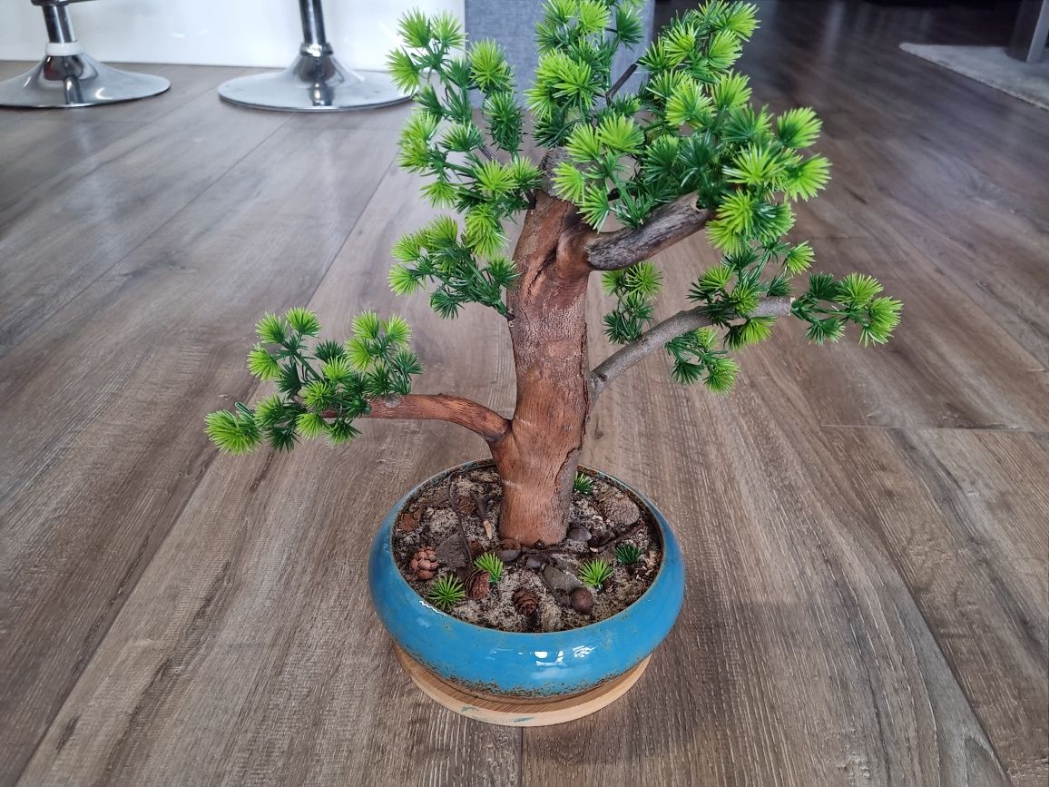 Drzewko   bonsai