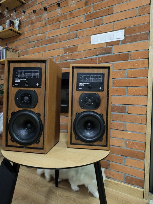 Monitory podstawkowe Bowers & Wilkins DM5 B&W DM5