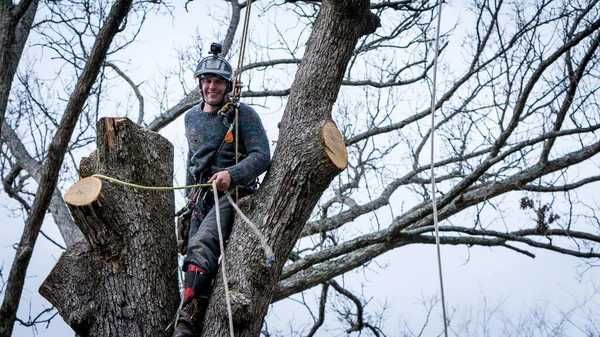 БЛАГОУСТРОЙСТВО срезка срезание спилить удаление аварийных в деревьев