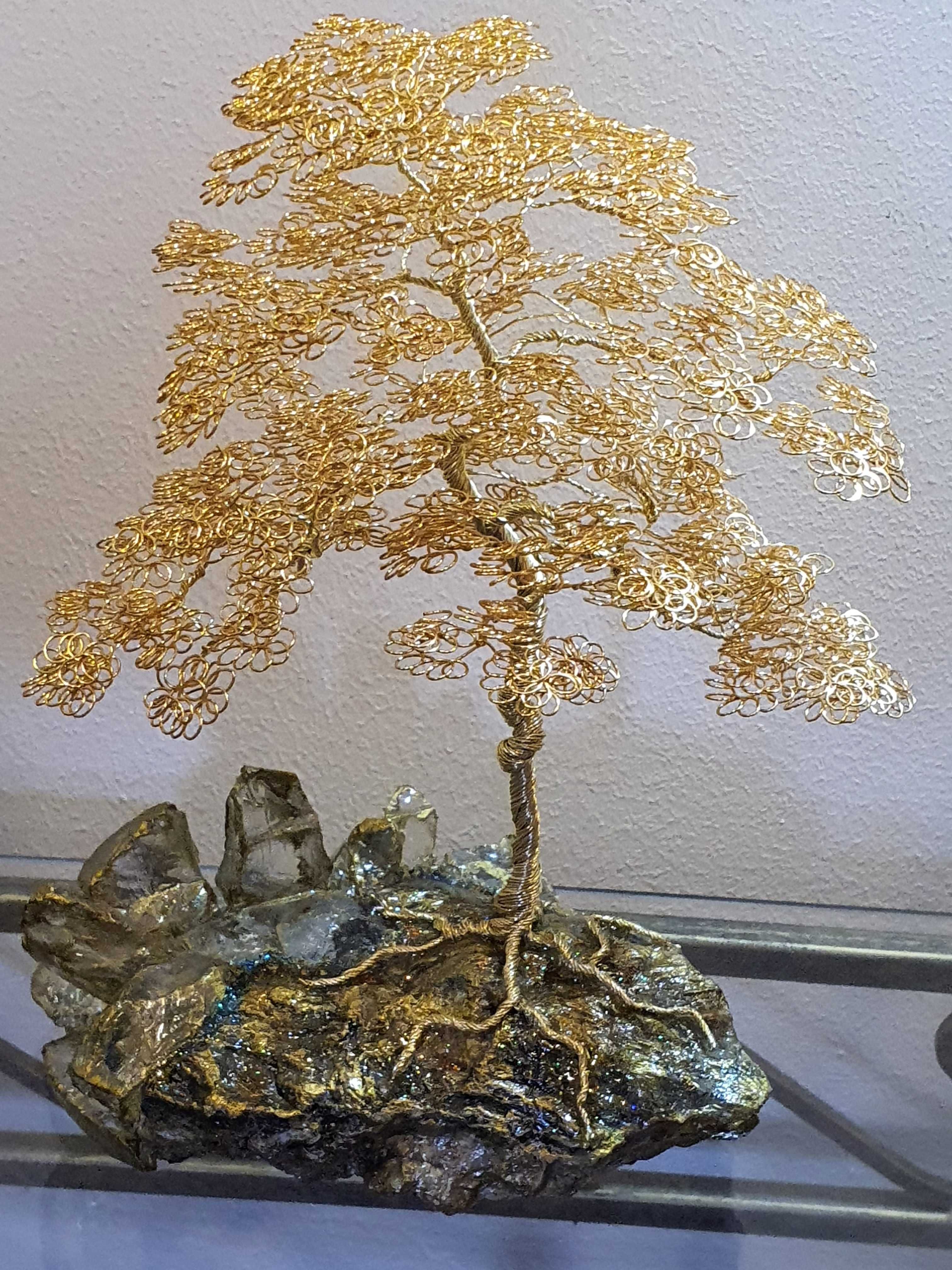 Drzewko szczęścia, bonsai