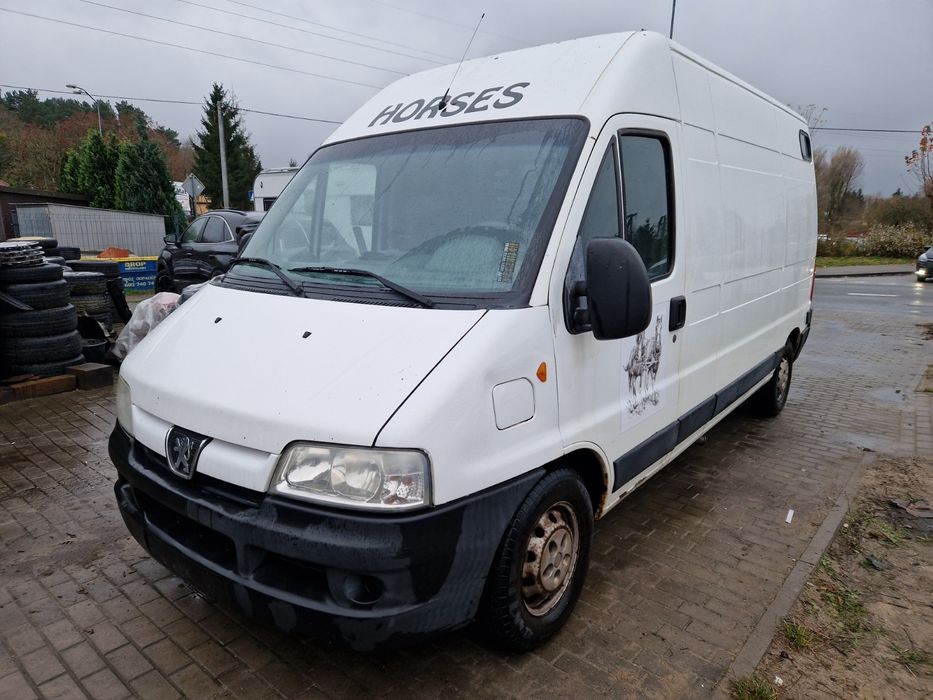 Koniowóz peugeot boxer