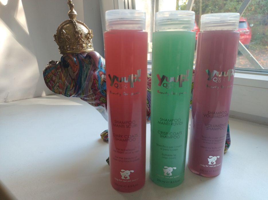 Szampon dla psów i kotów Yuup