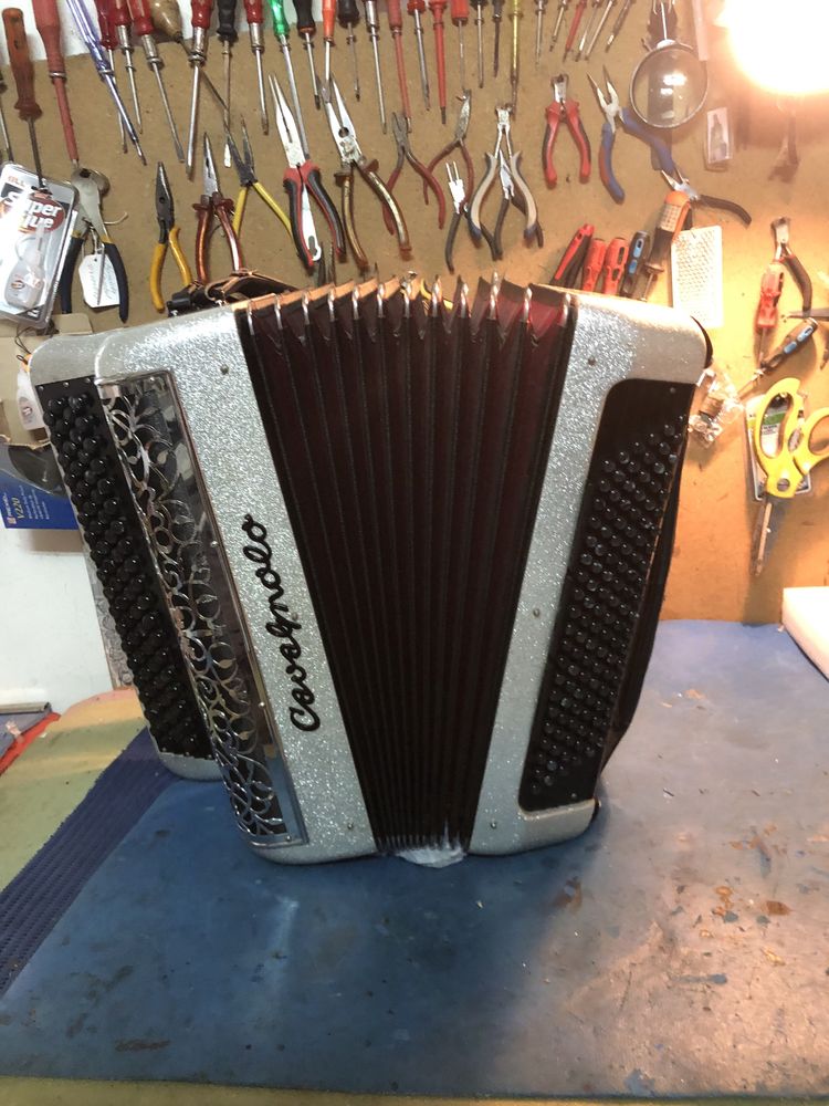 Acordeon Cavagnolo Super Vedeta 10