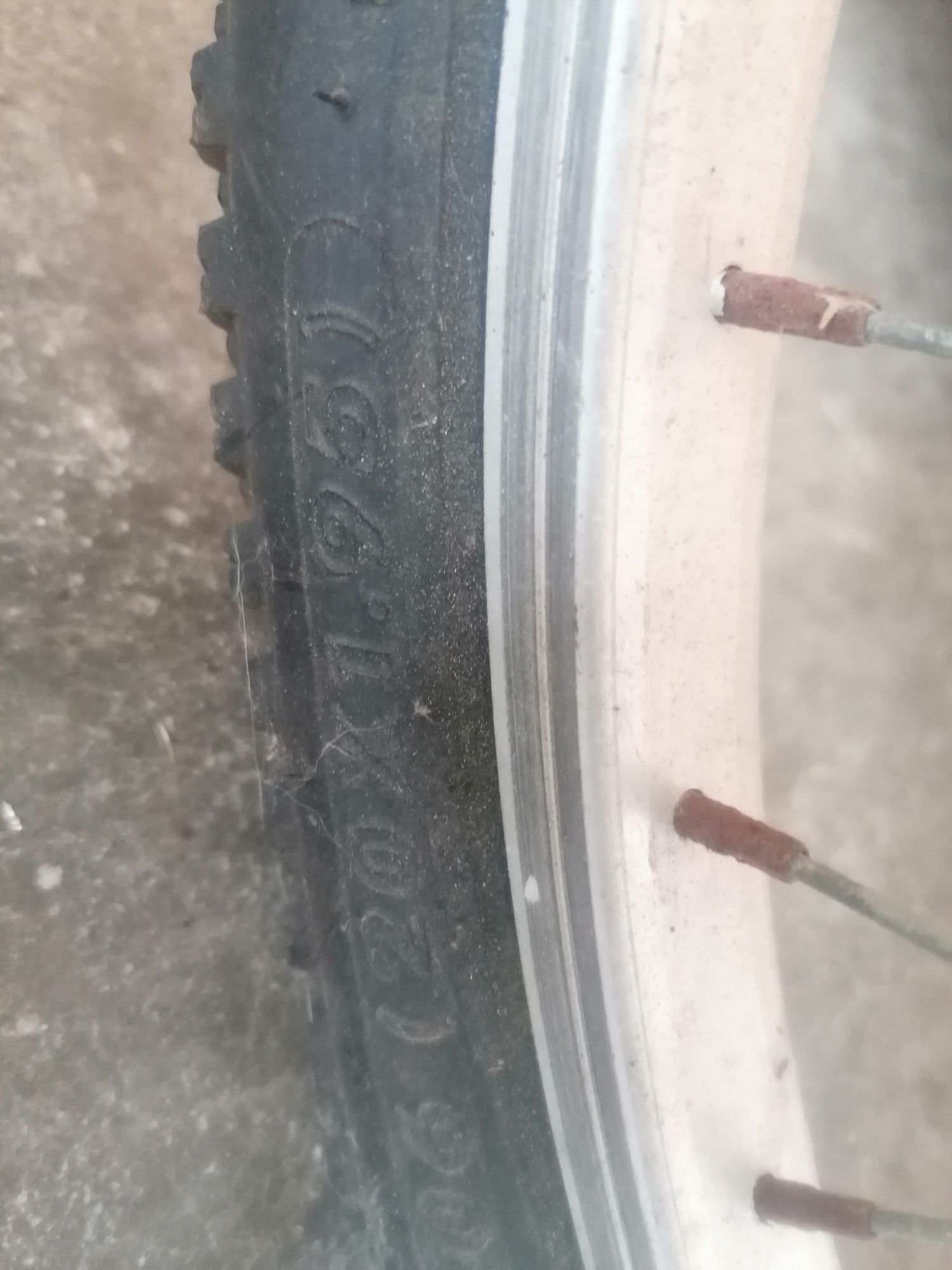 Bicicleta criança