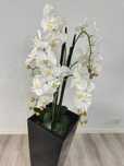 Vaso com orquídea