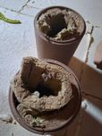 Komin ceramiczny wkład ceramika 200mm