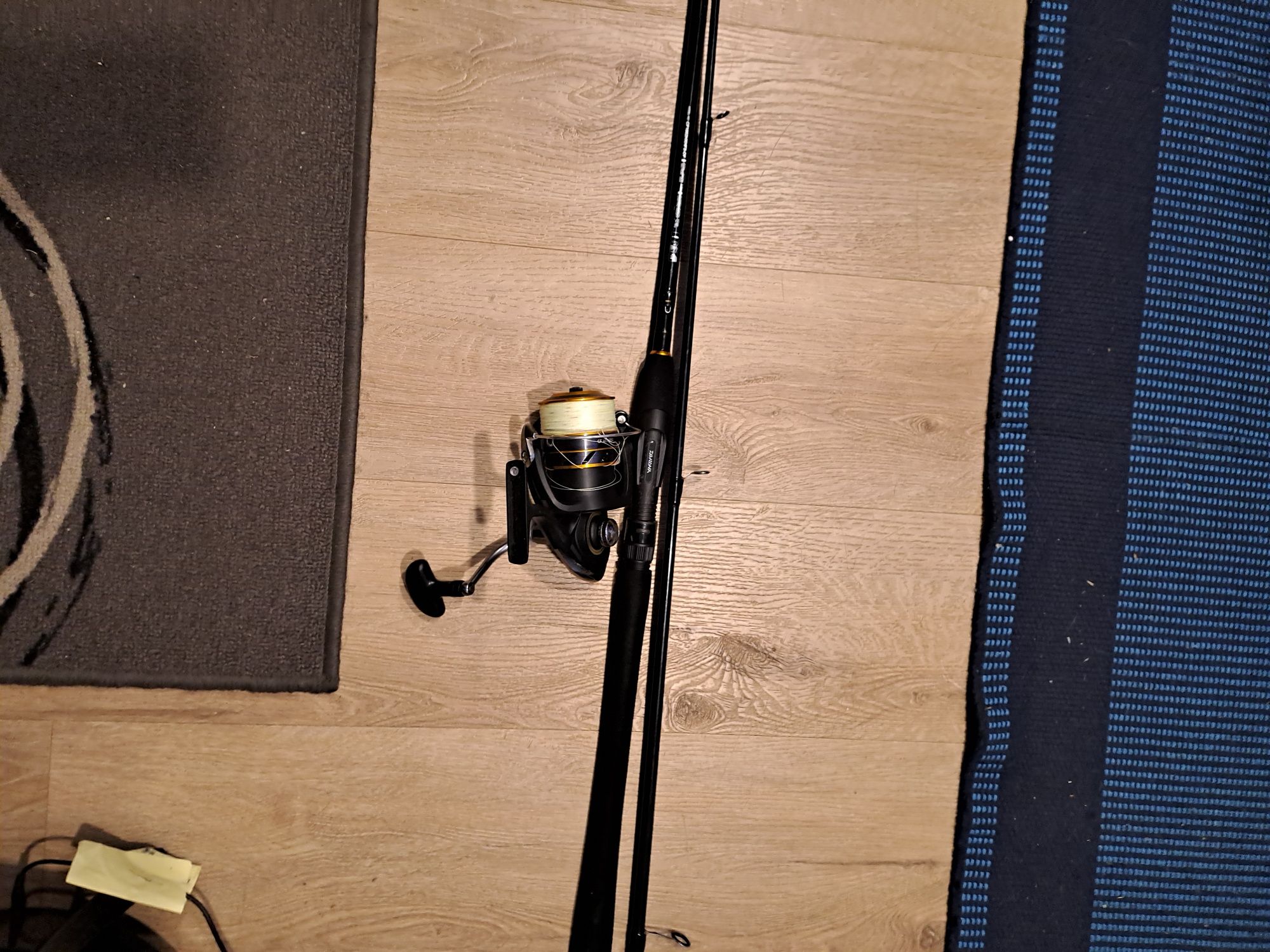 Barbatanas e  cana de pesca