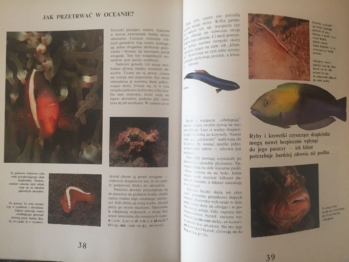 Życie oceanu. Ryby-wielka encyklopedia zwierząt. Dwie książki.