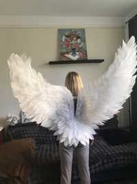Крила голуба  миру, Крила ангела