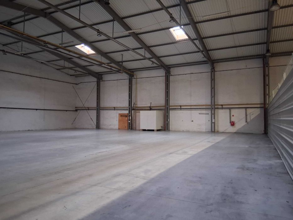 Magazyn Hala Piaseczno 1162 m2