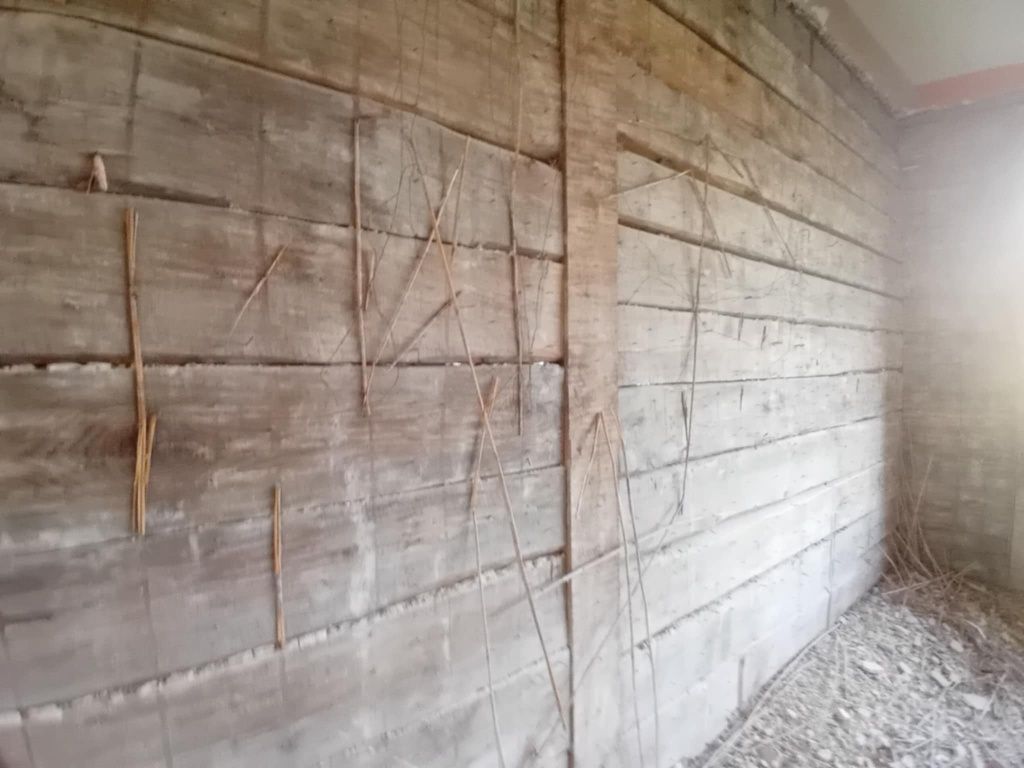 Bale ze starodrzewia, bale płazy