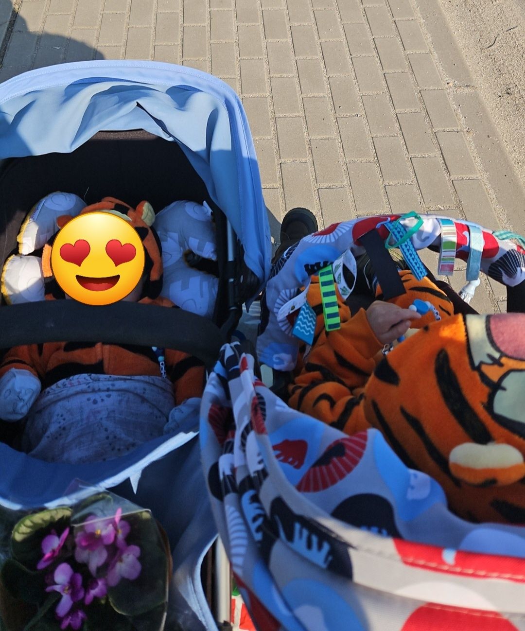 Bugaboo donkey rok po roku