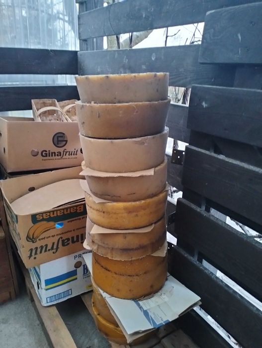 Wosk pszczeli z amatorskiej pasieki naturalny i czysty