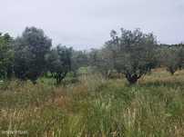Terreno  para venda