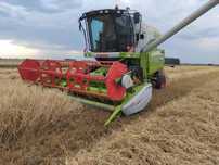 Kombajn Claas Avero jak nowy 2013 rok dominator
