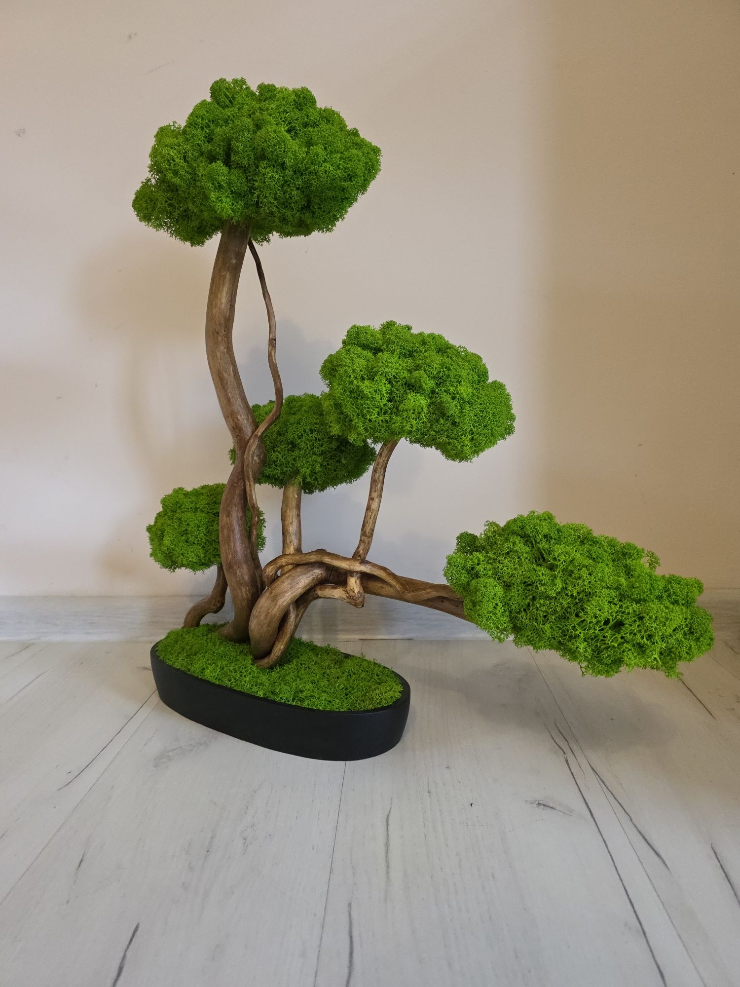 Drzewko bonsai Duże 50 cm.Mech Chrobotek. Dekoracje wnętrz. Prezent .