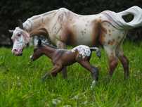 Breyer traditional custom Susecion i Le Fire