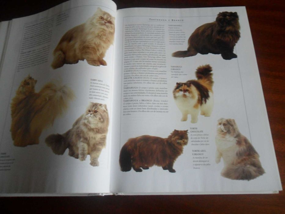 "O Livro Gigante do Gato" de Vários - 1ª Edição de 2002