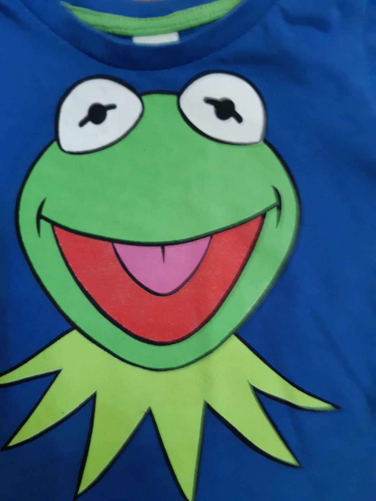 Cudny zestaw spodenki zieleń + t - shirt blue Kermit r 9 m/74 - 80 c
