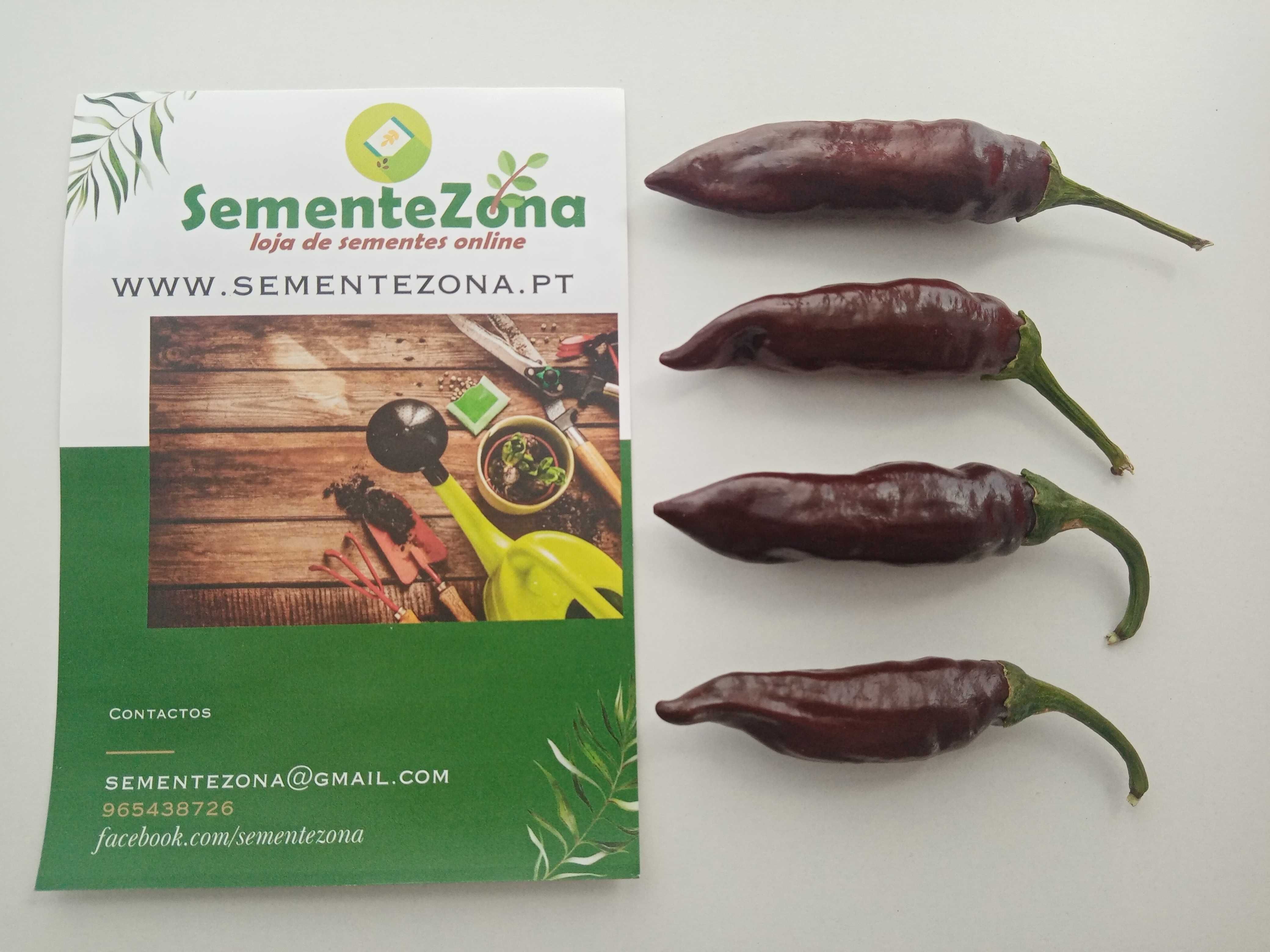 Sementes de Pimenta Ethiopian Brown Berbere