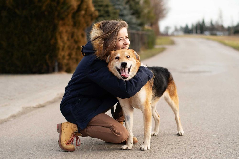 DIBON - dojrzały ale pełen wigoru i miłości do człowieka psiak
