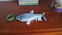 Peixe saltintante para gatos brincarem
