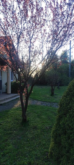 Dom do wynajęcia blisko Kielc