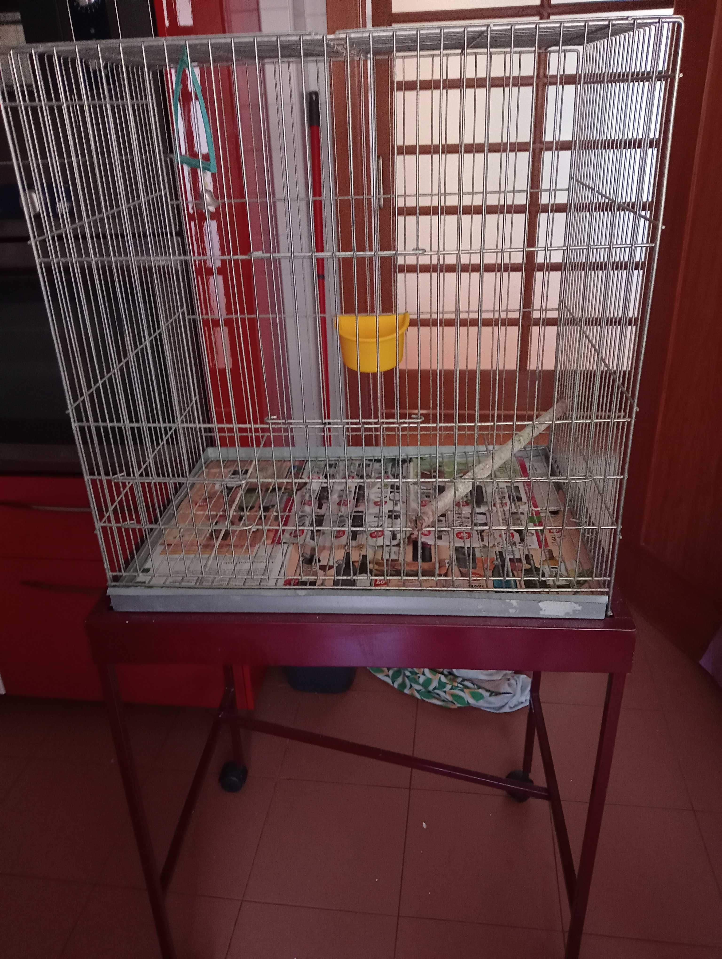 Vendo gaiola para pássaros