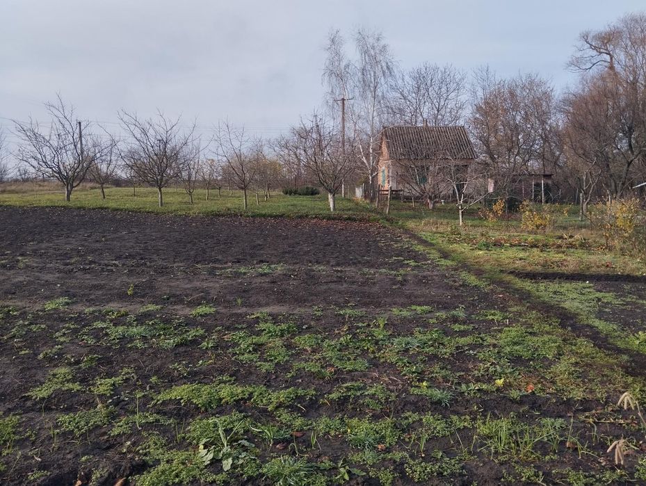 Продається дача на річці Інгулець