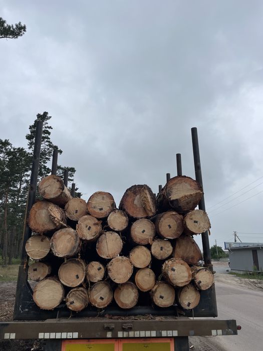 Продам Кругляк ,сосна 3-6м