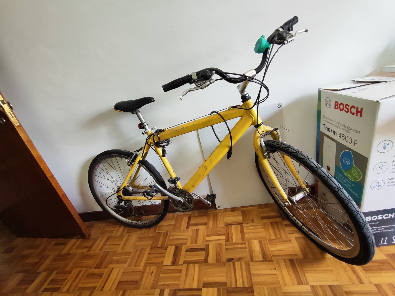 Bicicleta Urbana Adulto