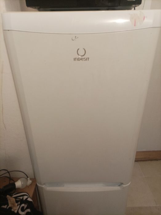 Lodówka polar 150 cm