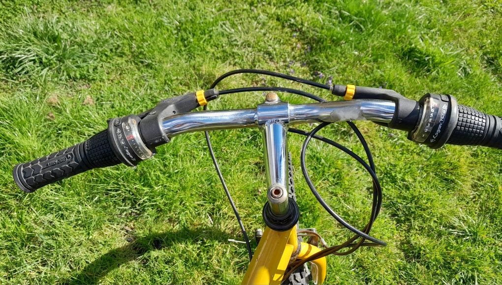 Rower damka Easy Active rama 19" koła 26"