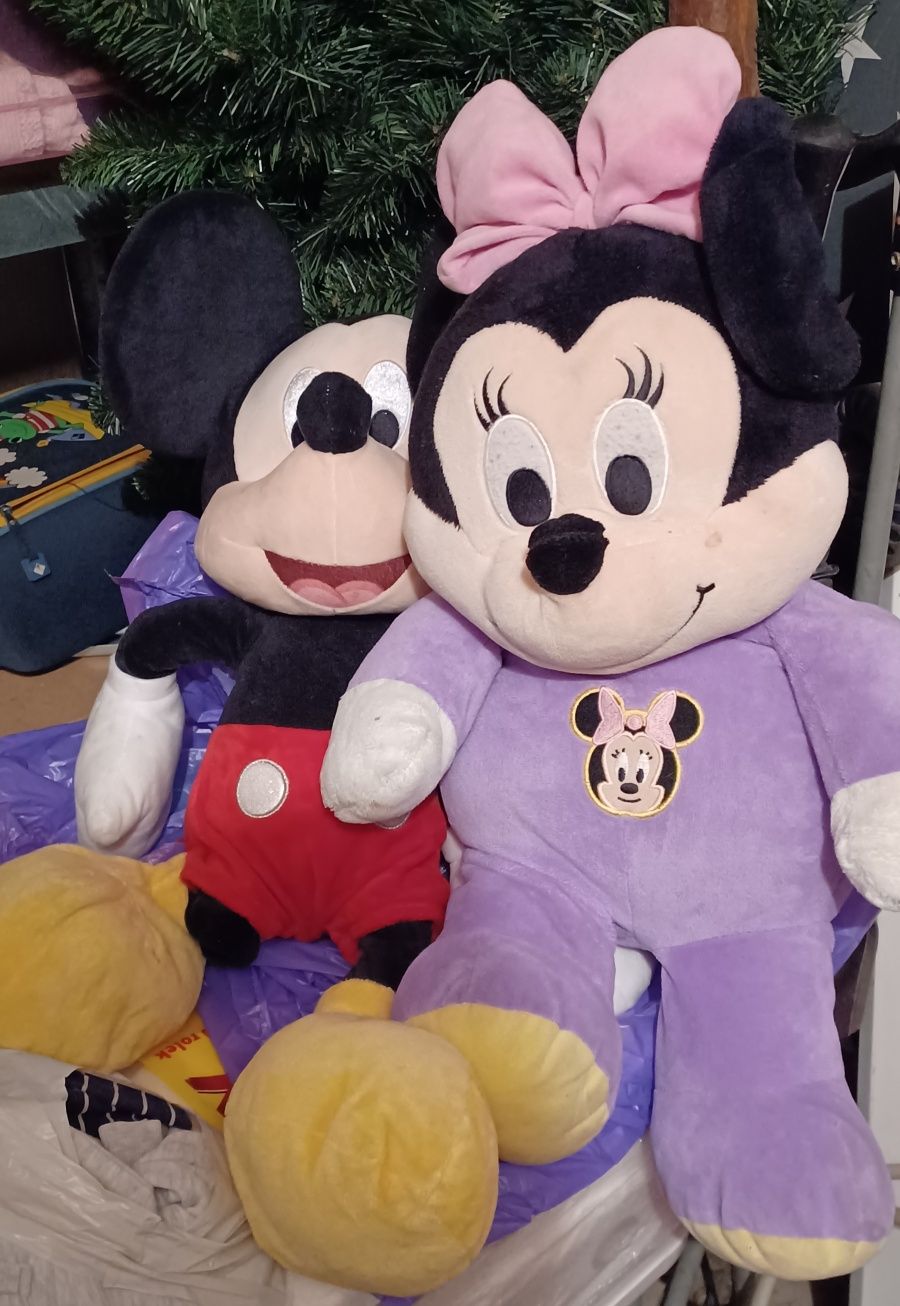 Myszka mickey i minnie