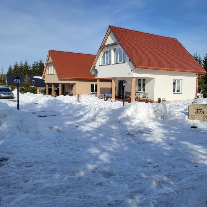 Ferie Zimowe Zieleniec - Lasówka