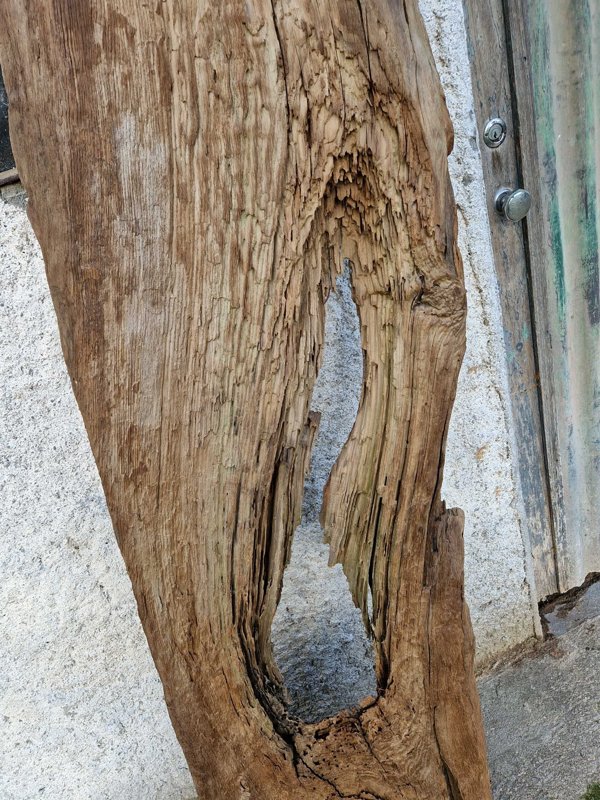 Tábua de Castanho Centenária Madeira Maciça