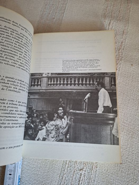 Cenas Parlamentares de Victor Silva Lopes
