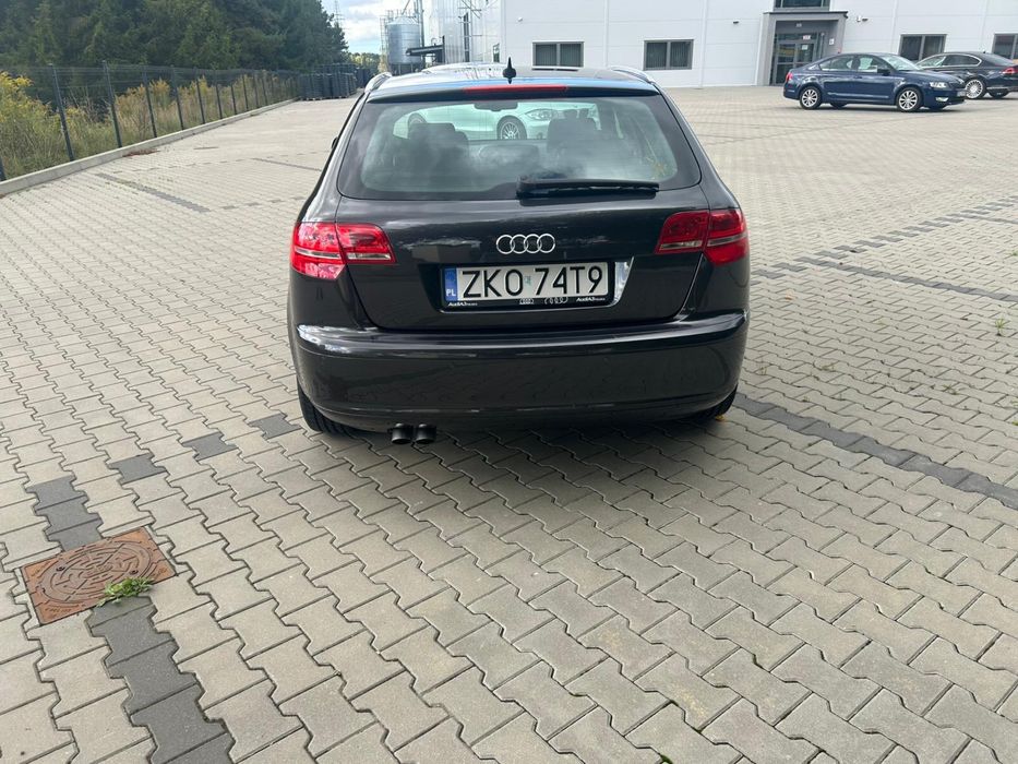 Audi A3 8P 2.0TDI