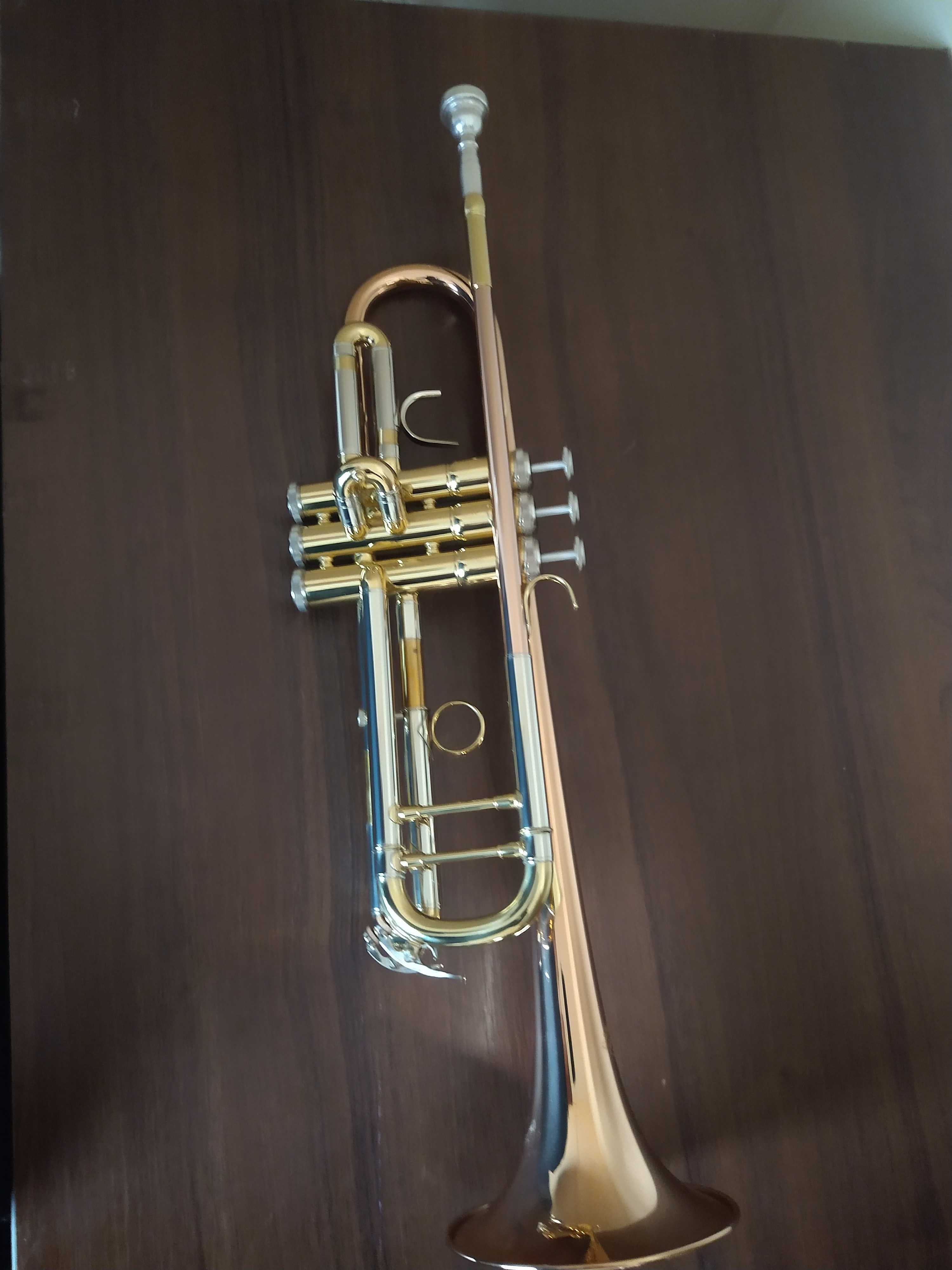 Труба сі-бемоль J.MICHAEL TR - 450 S. Нова
