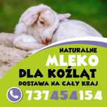 suszone mleko dla kozlat jagnią ekstra pełnoporcjowe