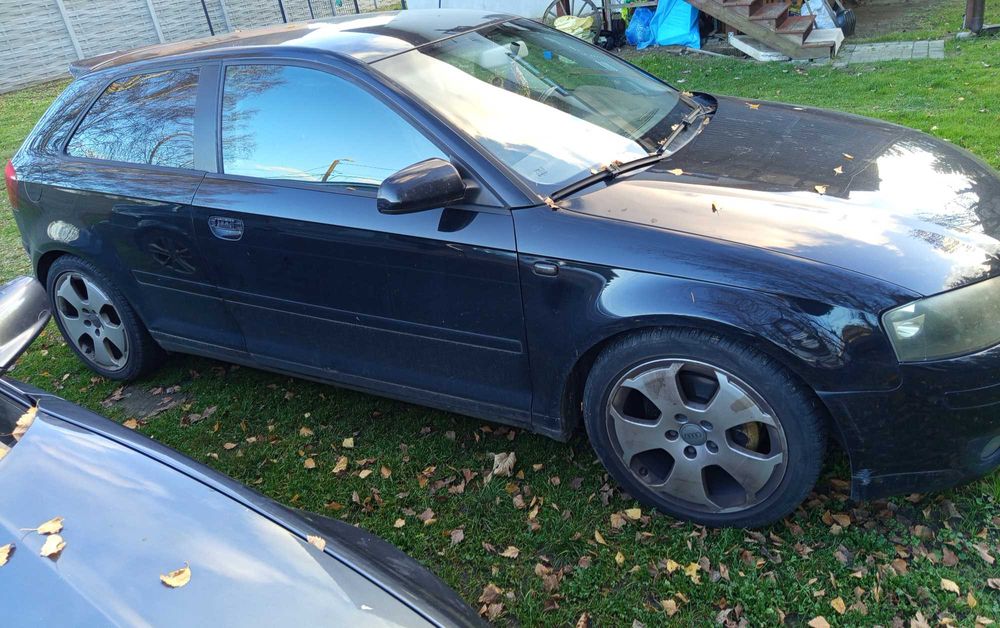 Audi A3 8P 1.6 MPI BGU 2003