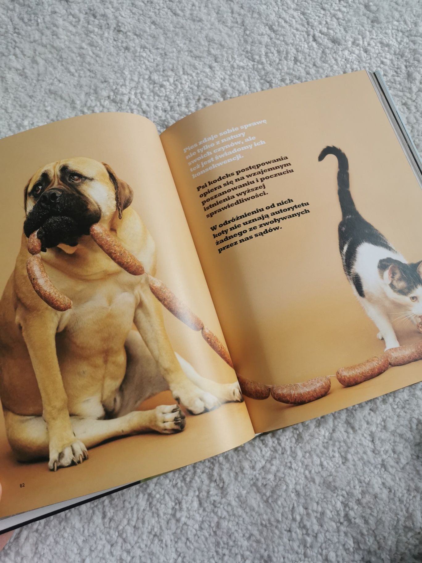 Książka "Dlaczego psy są lepsze od kotów"