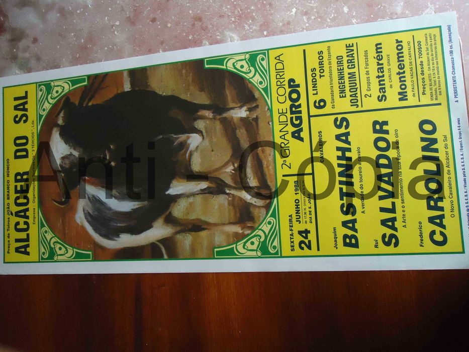 Toiros - Cartazes de Montra 1