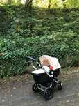 Wozek 2 w 1 Bugaboo Cameleon 3 - super stan