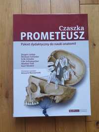 Prometeusz Czaszka