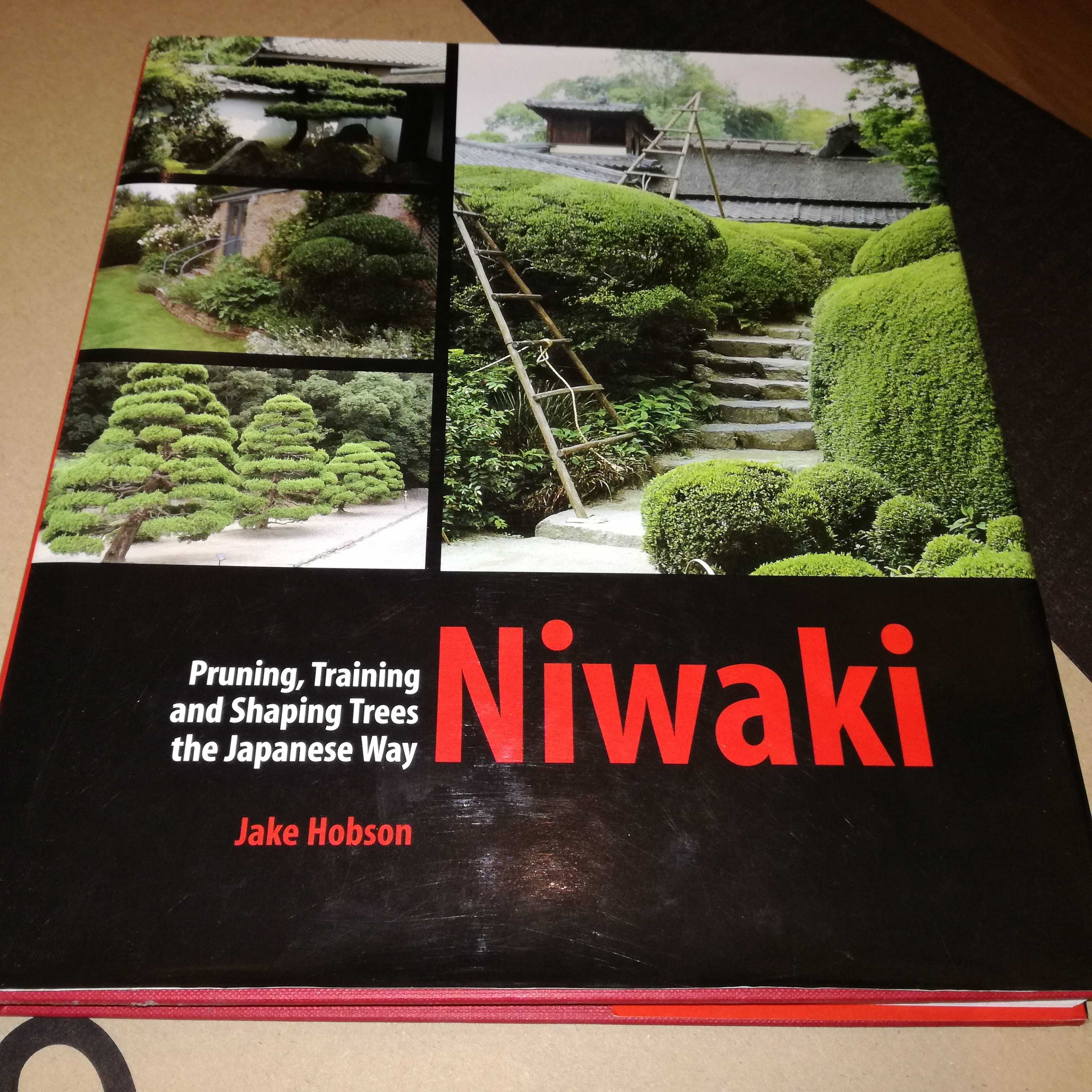 Niwaki como colocar arvores em forma de bonsai