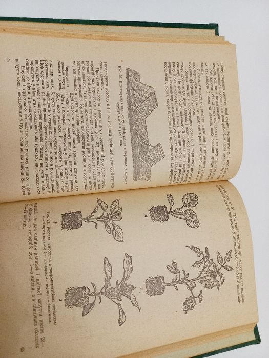 Підручник Овочівництво 1957 рік Д.П.Юхимчук