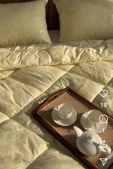 Найтепліша Зимова ковдра  лебяжий пух подушка одеяло зимнее