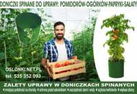Doniczki Spinane bez dna do uprawy Pomidorów, Ogórków - HIT 2023